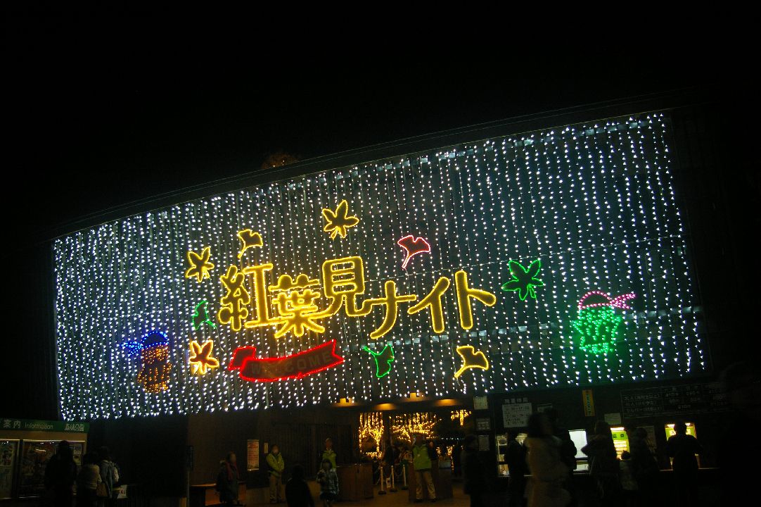 自称・フォトグラファーが行く。武蔵丘陵森林公園の紅葉が見頃なので紅葉見ナイトへ行ってみた