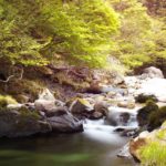 自称・フォトグラファーが行く。桐生川の源流へ行ってきました。そこはまさに源流