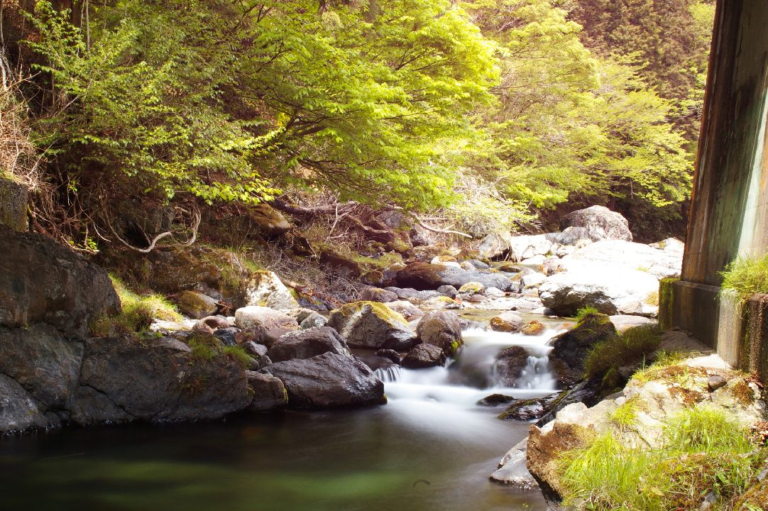 自称・フォトグラファーが行く。桐生川の源流へ行ってきました。そこはまさに源流