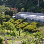 自称、フォトグラファ―が行くシリーズ！。6月の森へ行ってきました。ちょっと様変わりしたハーブガーデン