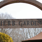 自称・フォトグラファーが行く。国営武蔵丘陵森林公園のハーブ園は3月でもきれいな花が楽しめる