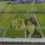 自称・フォトグラファーが行く。行田市の今年の田んぼアートはあのドラマだった。