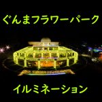 1年ぶりの群馬フラワーパークイルミネーション。今年もいいね